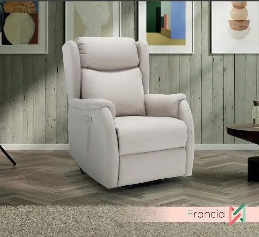 Imagen SILLON POWER LIFE 1 MOTOR FRANCIA